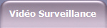 Vido Surveillance